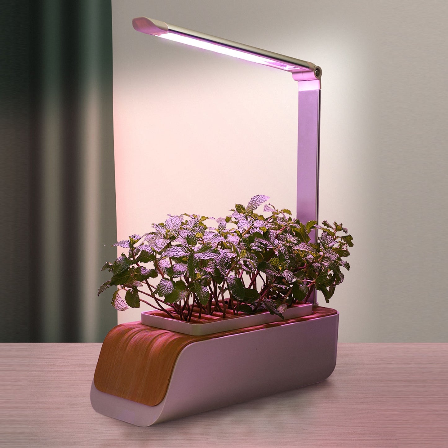 Hydrivia Pure — Potager d’intérieur hydroponique avec éclairage LED