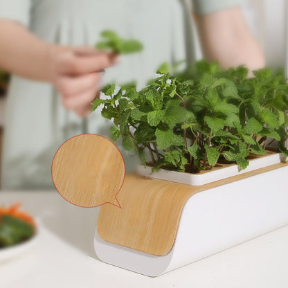 Hydrivia Pure — Potager d’intérieur hydroponique avec éclairage LED