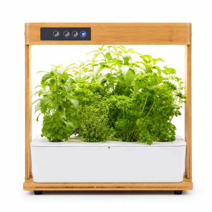 Hydrivia Bambu — Potager d’intérieur effet bambou