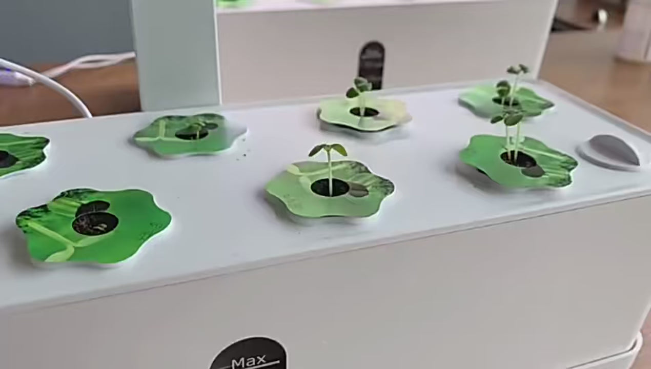 Charger la vidéo : 