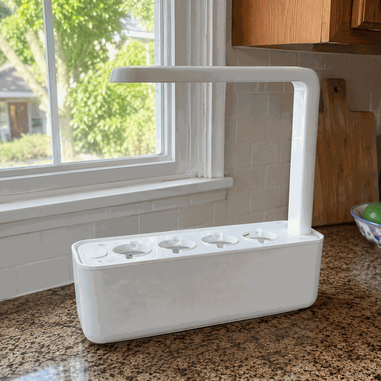 Hydrivia Evo — Potager d’intérieur hydroponique avec éclairage LED